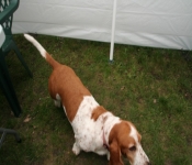 SwensonLakeJune 2009 606